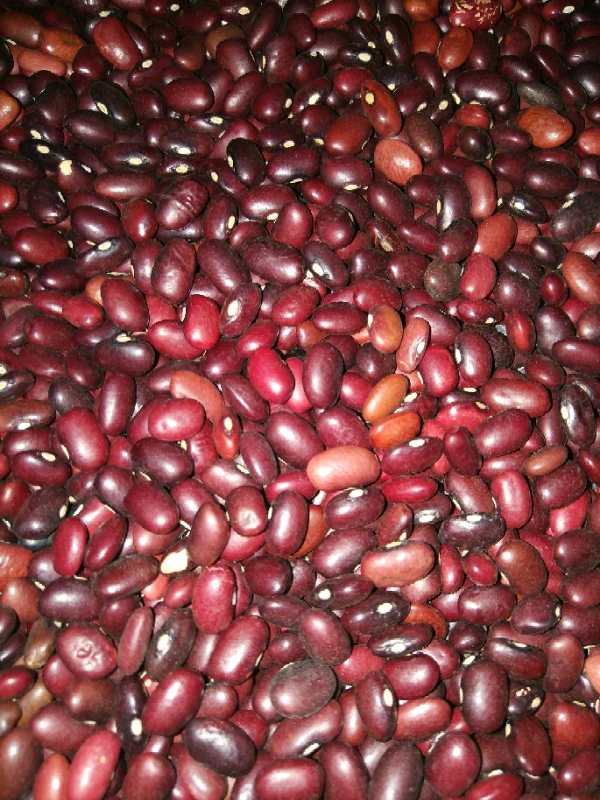 Frijol rojo a granel